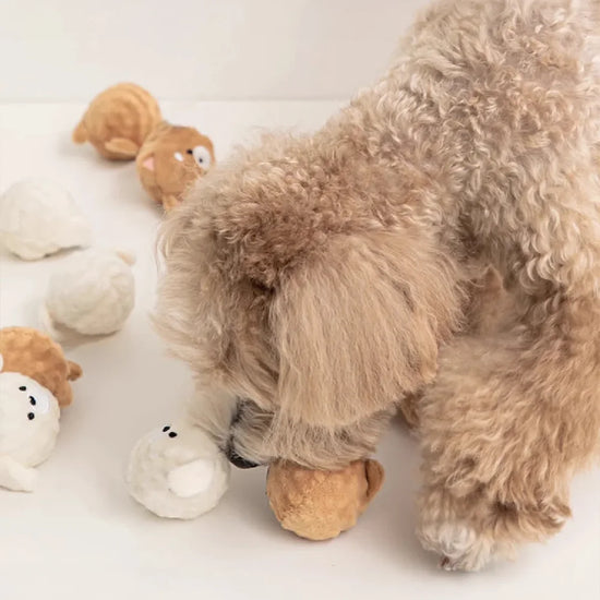 Squeaky Puppy Ball Toy Pets