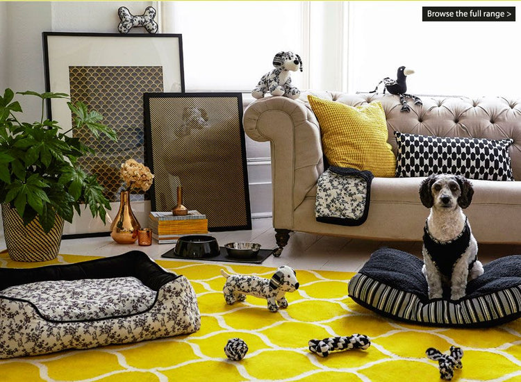 LUXURY PET ACCESSORIES