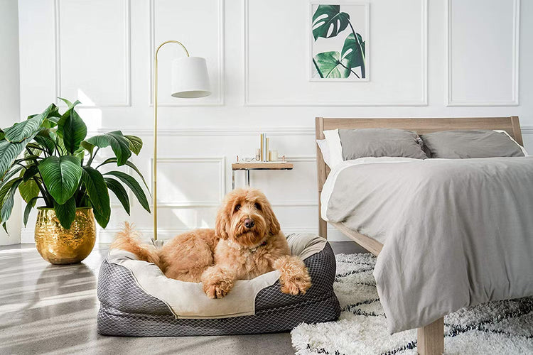 PET BED AND FURNITURE