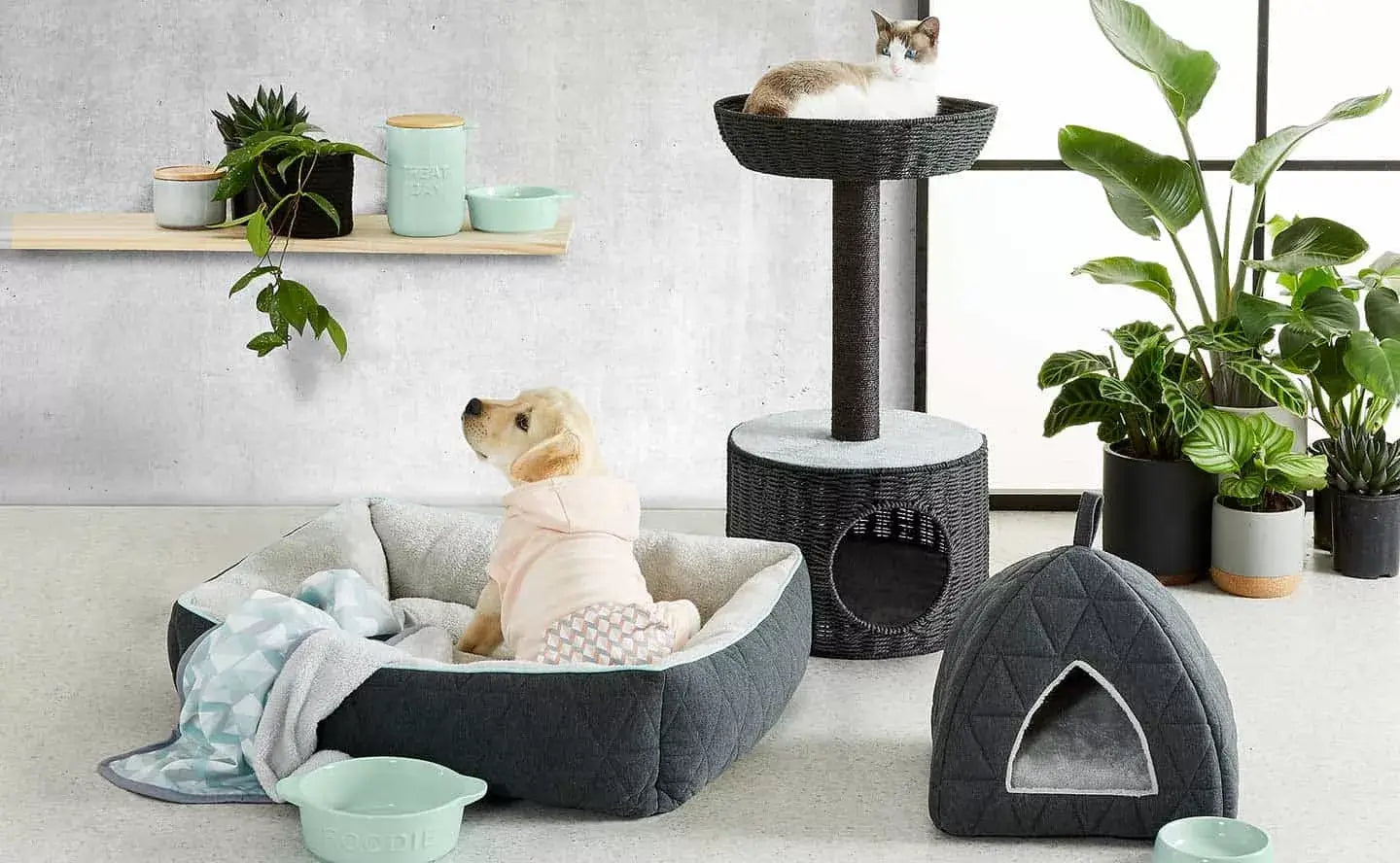 PET BED AND FURNITURE - VITOCLEI STORE PETS