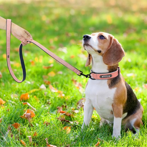 PET LEASHES AND COLLARS