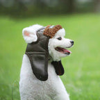 Pet Supplies for Dogs - Stylish New Dog Apparel for Autumn and Winter