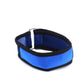 Pet heatstroke cooling collar
