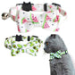 Color pet collar