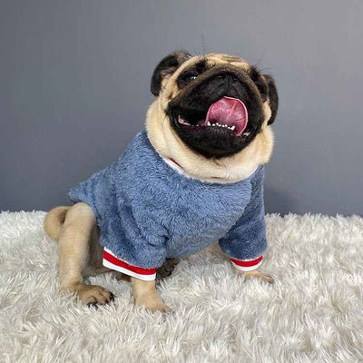 Pet Sweater for Dogs and Cats - Warm and Stylish Knitwear