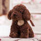Teddy dog plush toy cute pet