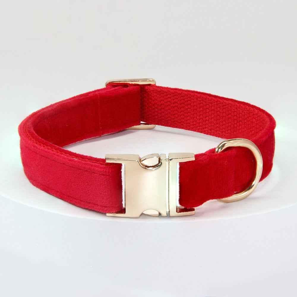 Dog Collar With Engraved Lettering