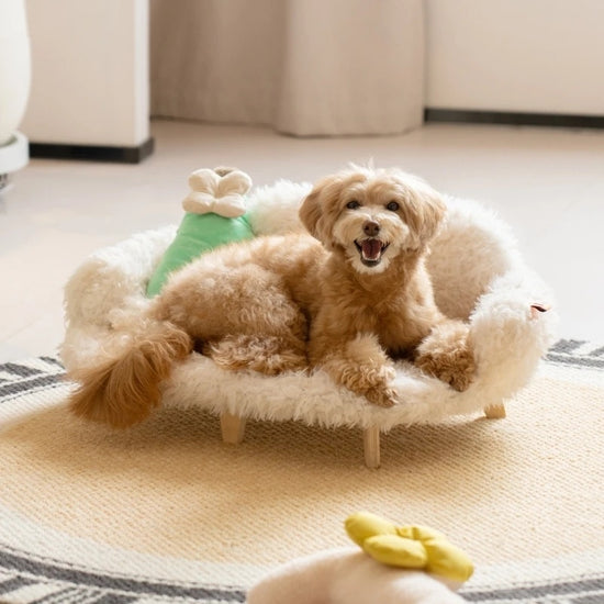 Wooden Pet Bed Kennel Dogs And Cats Bed Luxury Cat Bed