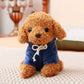 Teddy dog plush toy cute pet