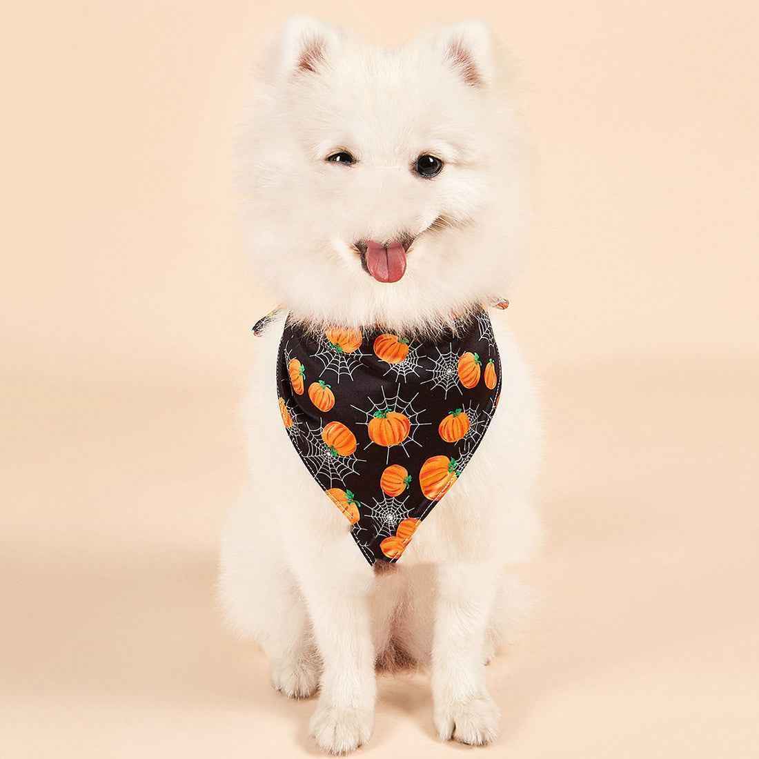 Halloween Double-sided Saliva Towel Pet Accessories