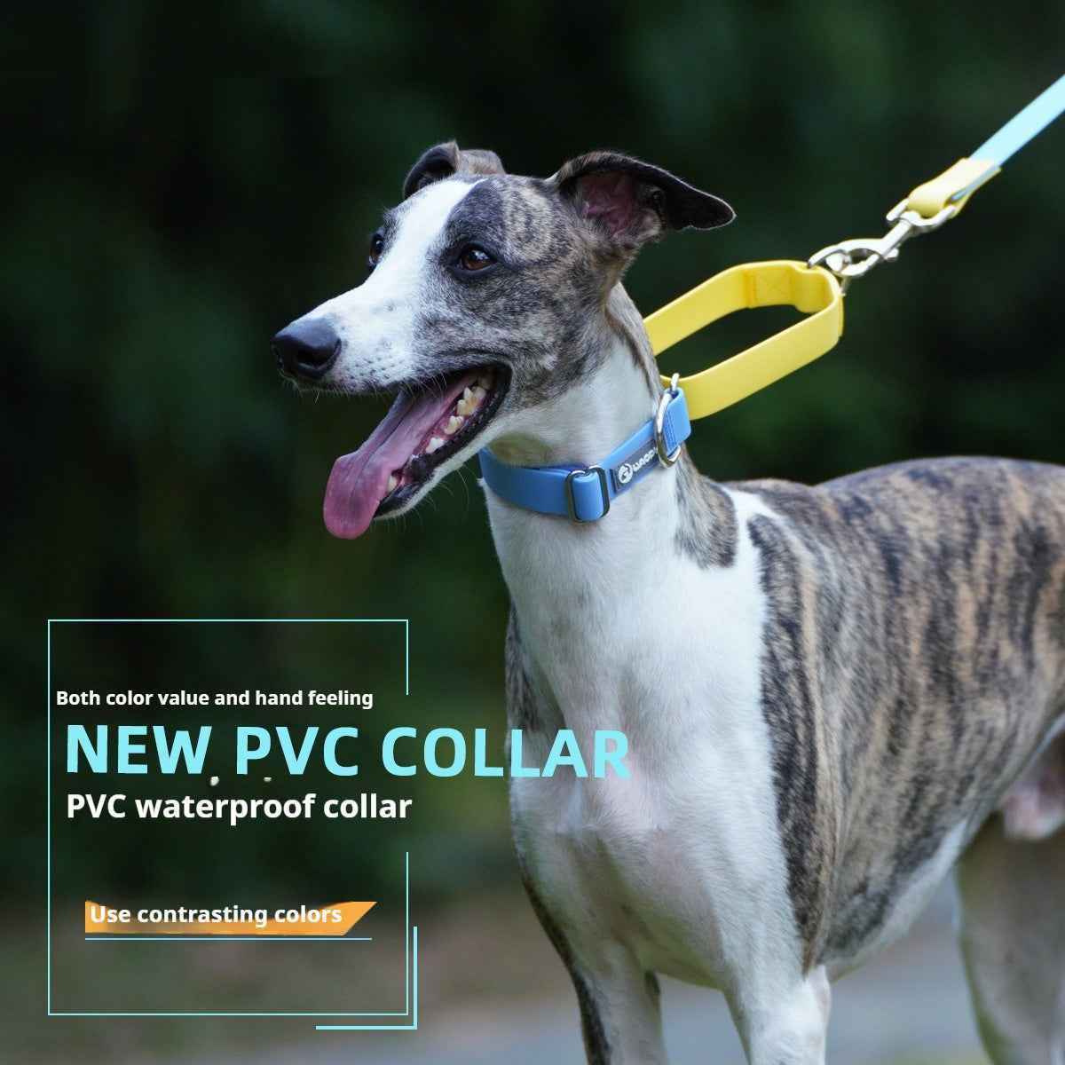 Plastic Waterproof Traction Collar Pet Supplies Tow Rope Collar