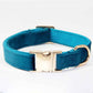 Dog Collar With Engraved Lettering