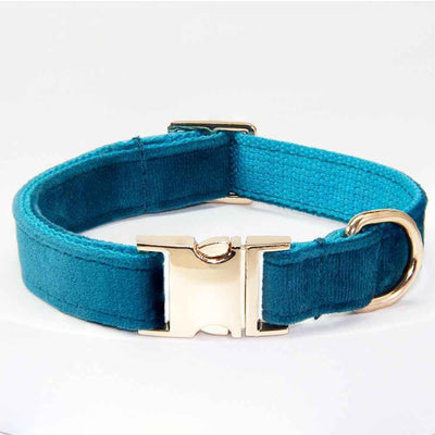 Dog Collar With Engraved Lettering