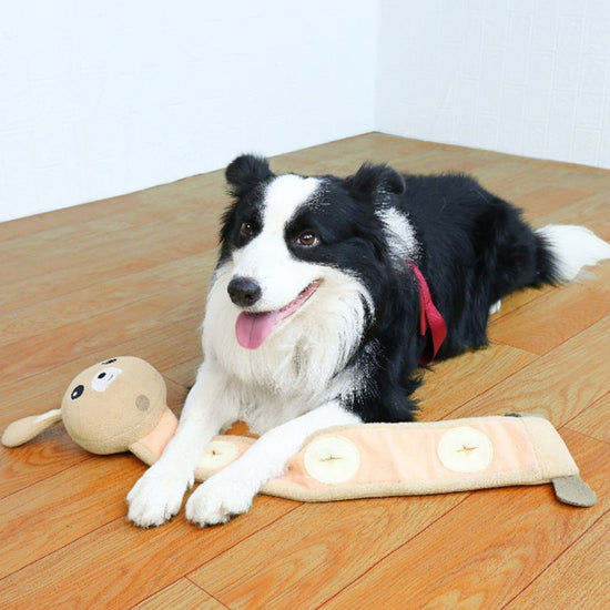Dogs Sniff Toys Pet