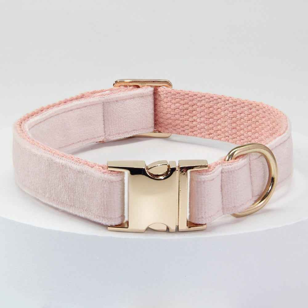 Dog Collar With Engraved Lettering