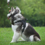 Pet Supplies for Dogs - Stylish New Dog Apparel for Autumn and Winter