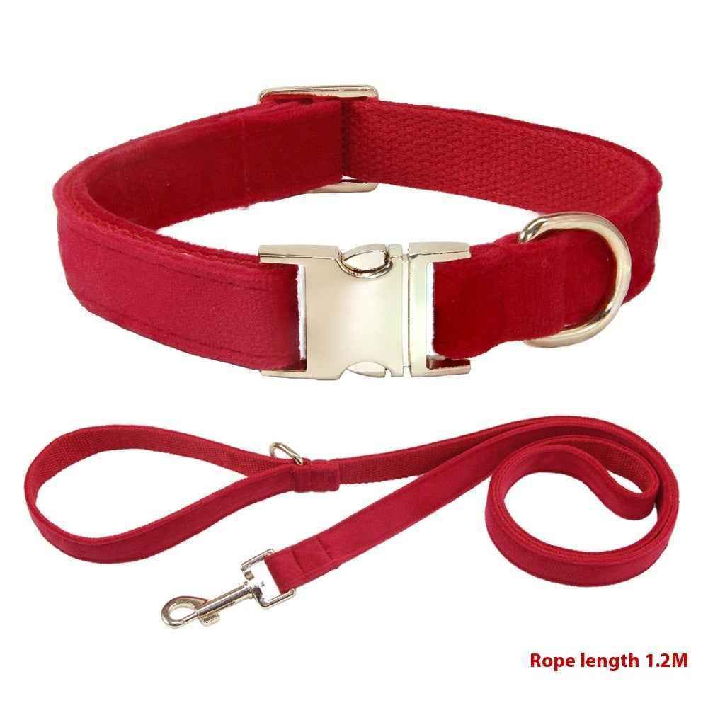 Dog Collar With Engraved Lettering