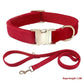 Dog Collar With Engraved Lettering