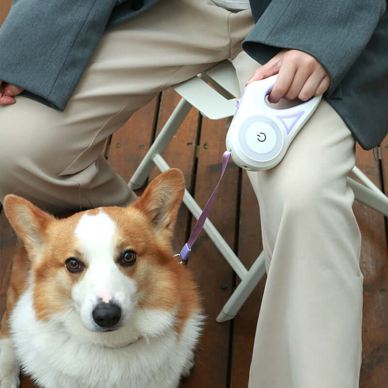 Dog Leash Retractable Leash - Dog Collar Spotlight Automatic