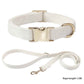 Dog Collar With Engraved Lettering