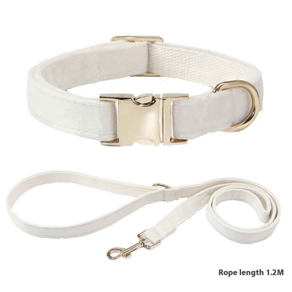 Dog Collar With Engraved Lettering