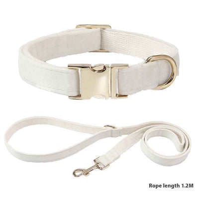 Dog Collar With Engraved Lettering