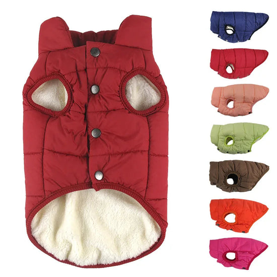 Winter Dog Coat