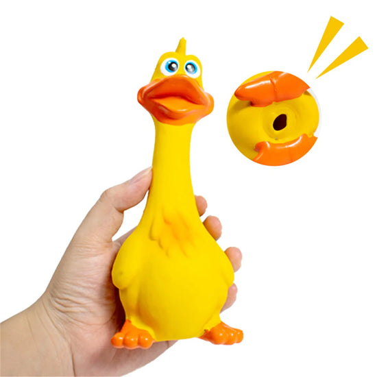 Squeaky Chicken Dog Toy