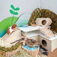 Hamster House with Climbing Ladder