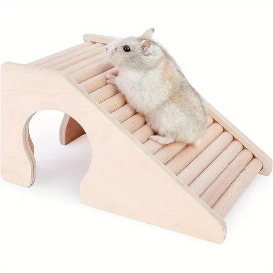 Hamster House with Climbing Ladder