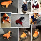 Warm Dog Hoodie Coat