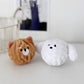 Squeaky Puppy Ball Toy Pets