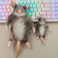 Realistic Plush Rat Cat & Dog Toy