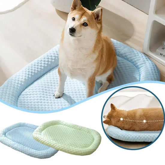 Breathable Summer Pet Mat for Small