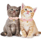 Adjustable Pet Collar for Cats & Small Dogs
