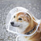 Transparent Waterproof Dog Raincoat