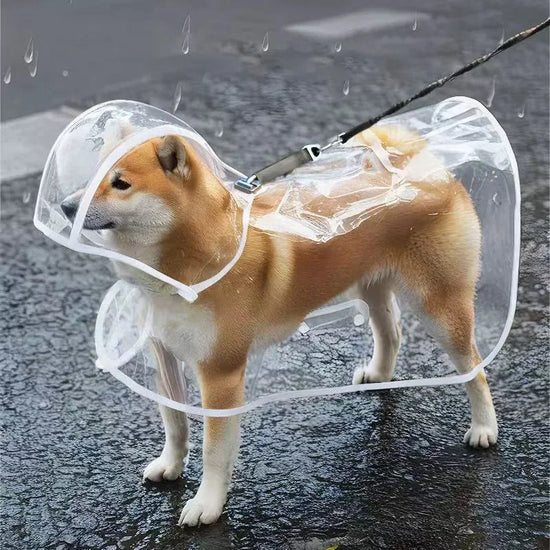 Transparent Waterproof Dog Raincoat