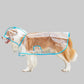Transparent Waterproof Dog Raincoat