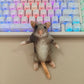 Realistic Plush Rat Cat & Dog Toy