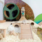 Hamster House with Climbing Ladder