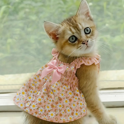 Romantic Summer Dress for Cats & Small Dogs