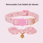 Adjustable Pet Collar for Cats & Small Dogs