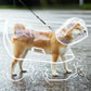 Transparent Waterproof Dog Raincoat