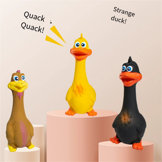 Squeaky Chicken Dog Toy