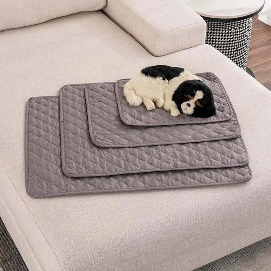 Washable Pet Bed Mat & Furniture Protector