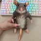Realistic Plush Rat Cat & Dog Toy
