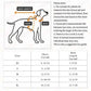 Romantic Summer Dress for Cats & Small Dogs