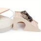 Hamster House with Climbing Ladder