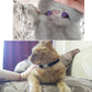 Heart Charm Velvet Cat Collar