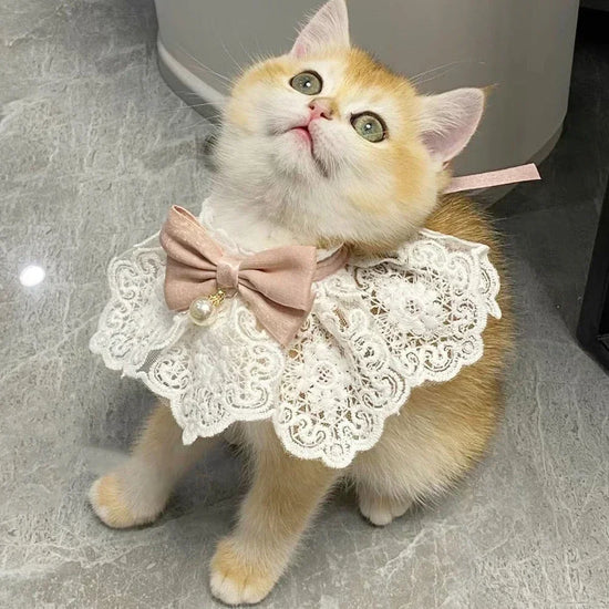 Pearl Bow Pet Collar Necklace